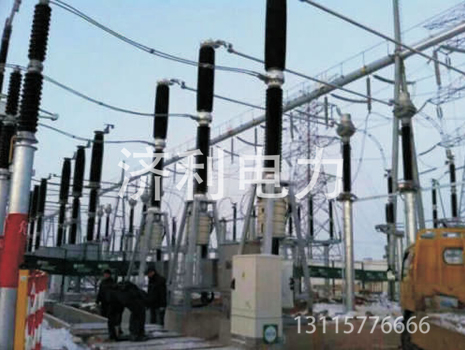 LW38-252/T4000-50高壓交流SF6瓷柱式斷路器